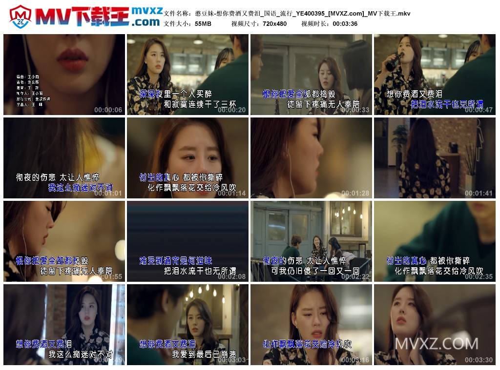 憨豆妹-想你费酒又费泪_国语_流行_YE400395